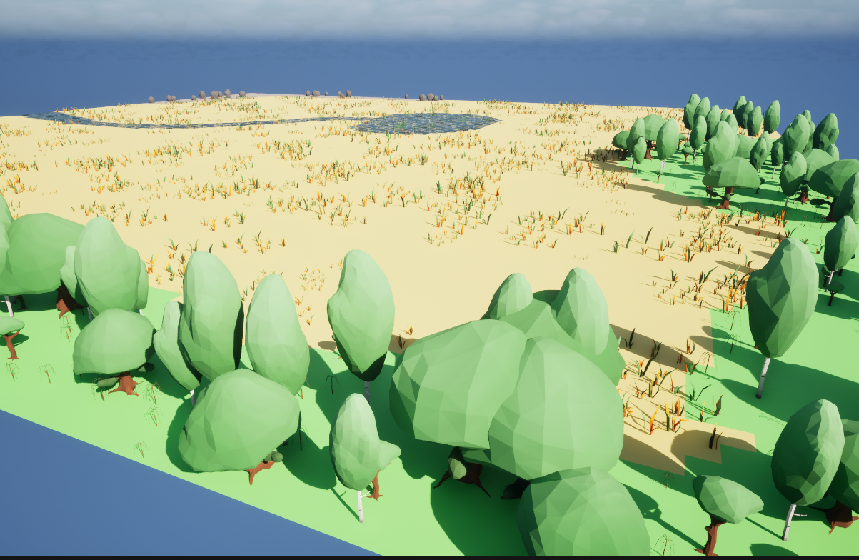 Ground-level view inside the forest, showing dense tree cover along the border with the lake and grass visible through the gaps